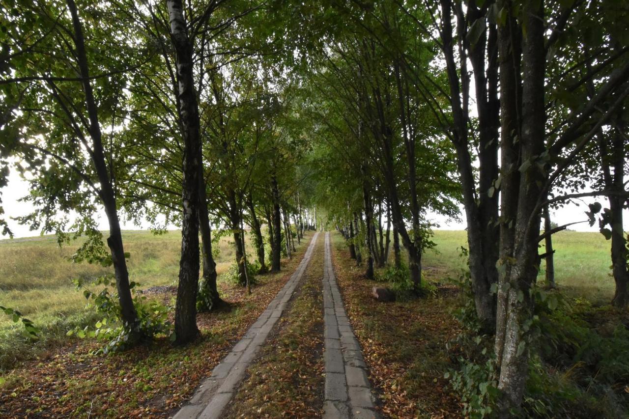 Dadaj Park Home Biskupiec  Kültér fotó